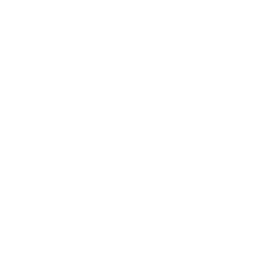 IQ Biz growth white logo